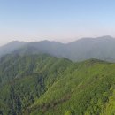 사주명리학(심화반) 이미지