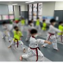 한들물빛 꿈나무 태권도 | 다양한 프로그램 탕정태권도 꿈나무태권도