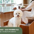 교원 이미지