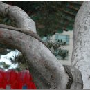 종로-종로-종로-종-127 이미지