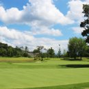 대호단양CC(대중제) 이미지