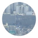 과천타워~새서울쇼핑 이미지