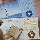 필립스(백합) 이미지