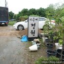 부광주유소원당점