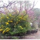 충청농장 이미지