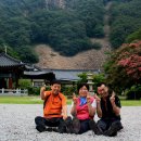 문어대장 이미지