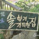 솔향기가득한집 이미지