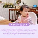 리츠전자 | 및 아기 돌잔치 전문 호텔리츠 라 뷔 포레 예약 시기 가격 정보 및 뷔페 시식 후기 :: 2025년 11월 초...