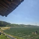 장수반점 - 해운대구 신반송로 29 | 장수반점