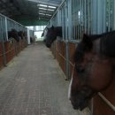 회우목장 이미지