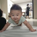 술을꽂자 | 술없는 일상은 다메다메