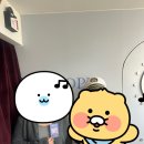 나우플라워 | 건대 황금열쇠 나우 히어 후기 _ 처음한 방탈출이 이머시브 방탈출인줄 몰랐는데 연기해야 해서 당황...