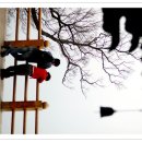 해를품은바다 이미지