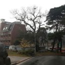 산동약수장 이미지