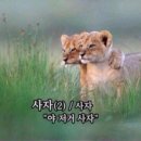 잡화공간 네이버블로그