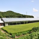 포두농장 이미지