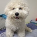 무한뽑기 이미지