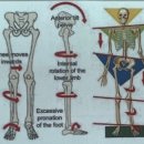 드래곤 파라다이스 짐 이미지