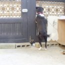 살랑살랑 이미지