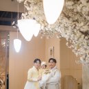 해피파인더 | 대전돌스냅 베스타에서 담아낸 도르스냅의 따뜻한 시선