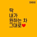 [카팁] 카썸이 알려주는 렌트카 싸게빌리는 법!