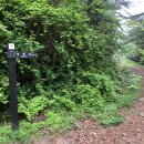 산덕마을회관옆 이미지