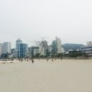 민락어민활어직판장 이미지