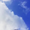 수향주유소 | 부처 생일파티 참석 후기