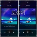 토생이