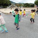 감물초등학교 병설유치원 이미지