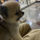 제주도 게스트하우스 파티 빅썸 이미지