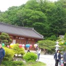 영산법화사 이미지