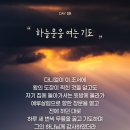 다니엘약국 이미지