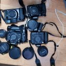 DSLR 카메라특성및 선택 이미지
