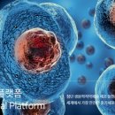 미라셀주식회사 이미지