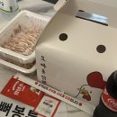 오빠통닭 | 여수 오빠통닭 배달 후기｜옛날 반반치킨 제대로