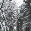 으뜸50안경 성신여대점 이미지