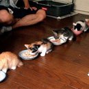 아,귀여워 이미지