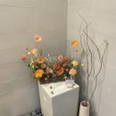 스테이영플라잉요가&필라테스