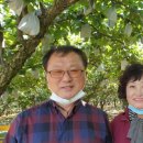 청하 농장 이미지