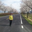 광의면사무소 앞2 이미지