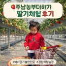 주남농장 | [경남 아이랑] 주남농부더하기 딸기체험 후기｜아이 반응·체험 정보 총정리