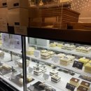 오르버스 이미지