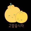 서귀로운날들