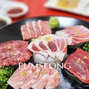 참조은참치 이미지