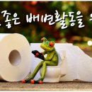 상쾌한장문외과
