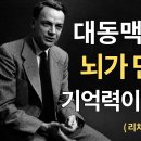 대동맥이 굳으면 왜 뇌가 먼저 늙을까요? 기억력을 무너뜨리는 혈관의 비밀- 파인만의 과학 다큐 이미지