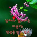 미소라