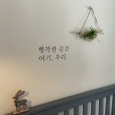 가시머리펜션 이미지