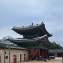 창덕궁, 창경궁을 가다-1